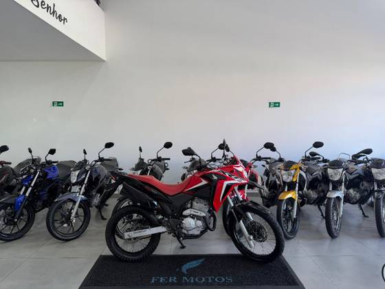 HONDA XRE 300 RALLY 